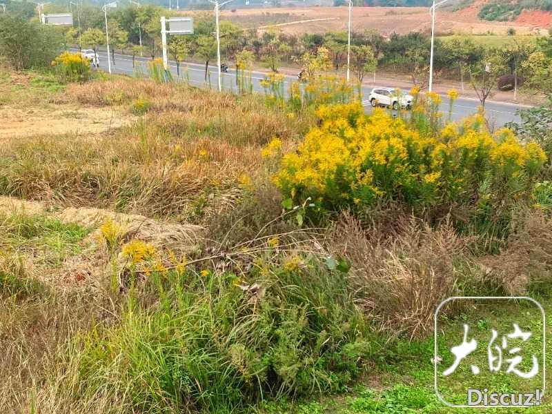 ad9a79e4ea4f97e473b8328a78b74fea.jpeg ad9a79e4ea4f97e473b8328a78b74fea.jpeg