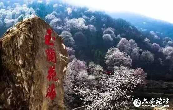 微信图片_2026-03-05_085849_881.jpg